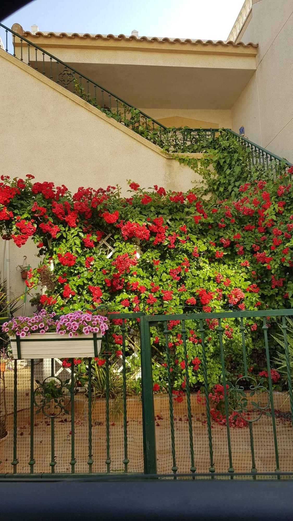 Apartamento Montegolf Con Terraza Privada Los Dolses Exteriér fotografie